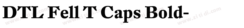 DTL Fell T Caps Bold字体转换